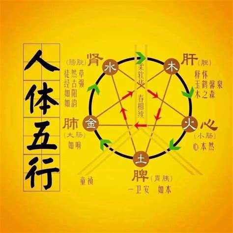 什麼克土|“五行相克”，分别是什么克什么？